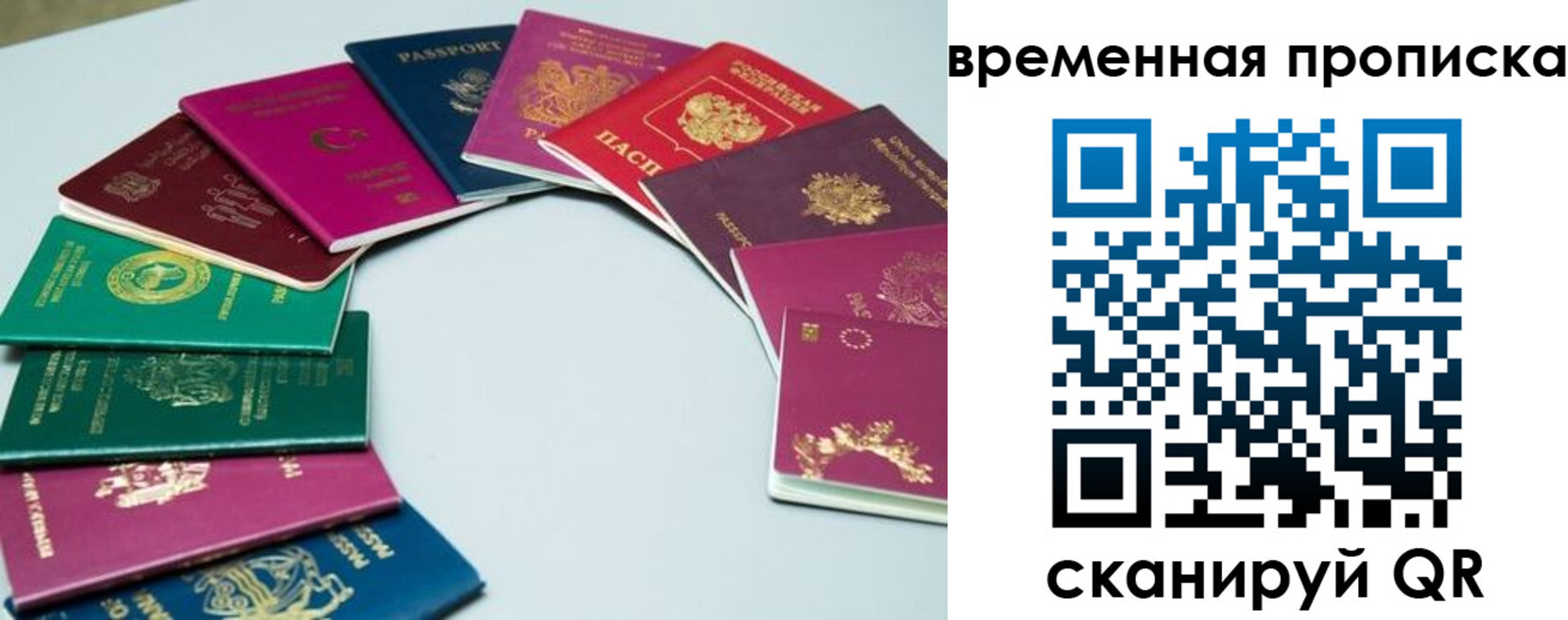найти адрес прописки в Мурино